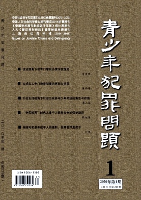 青少年犯罪问题 青少年犯罪问题