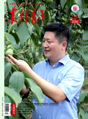 农村青年 农村青年