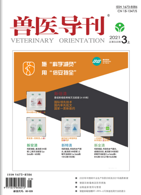 兽医导刊 兽医导刊